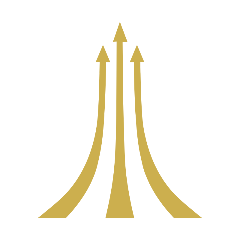 David Romeral logo